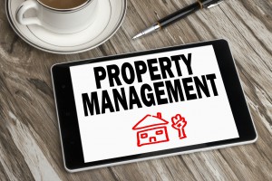 property manager